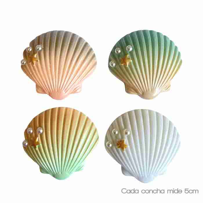 Kit de 4 conchas marinas Grandes