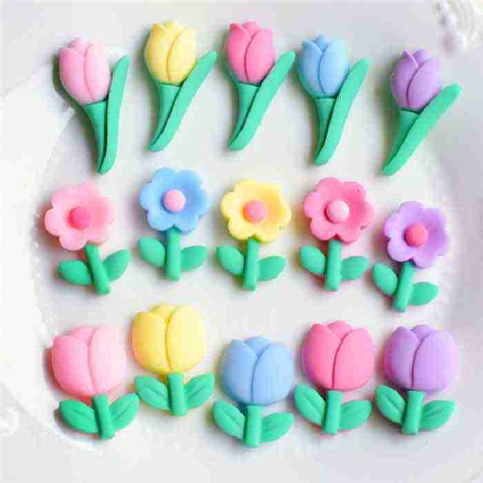 Kit de 6 Resinas de Flores