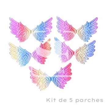 Kit de 5 parches de Alas Pastel