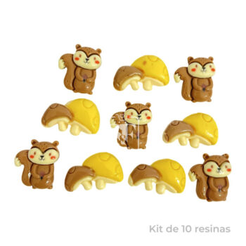 Kit de 10 Resinas Ardillita y Honguito